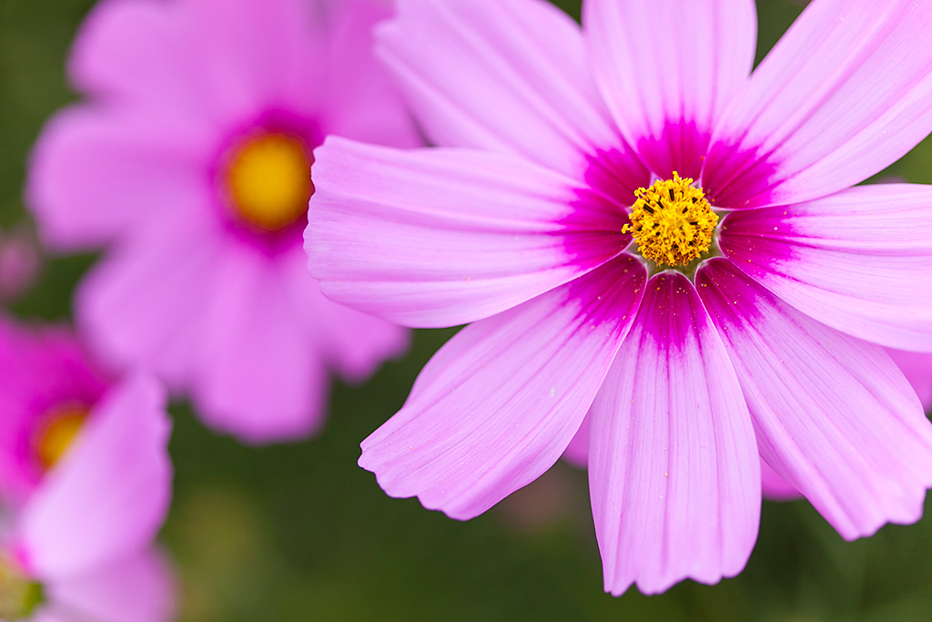 Aperture-Priority A