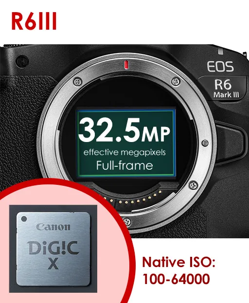 canon r6 mark II